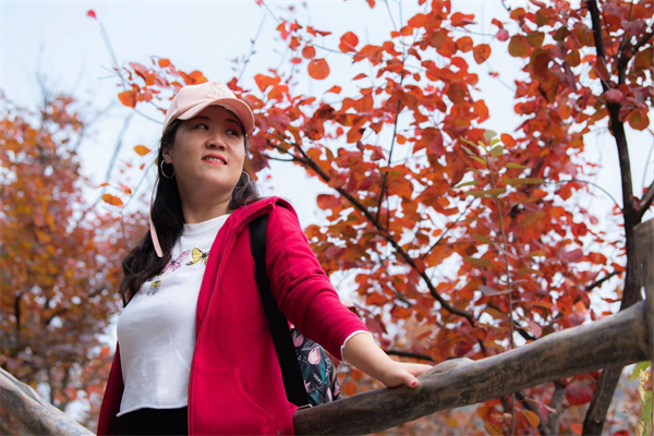 利来国国际(中国)最给力的老牌 - welcome