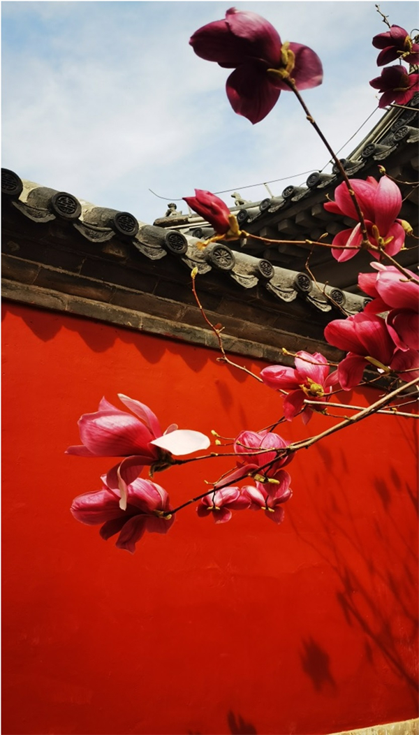 利来国国际(中国)最给力的老牌 - welcome