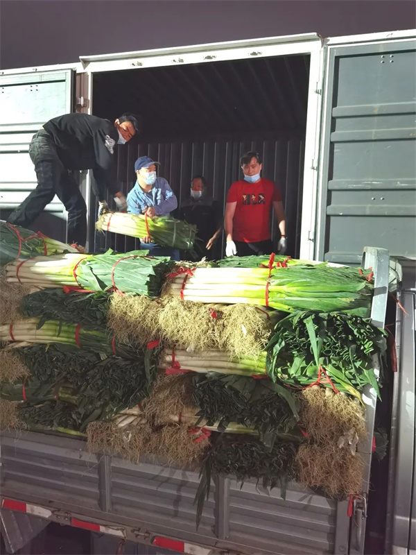 利来国国际(中国)最给力的老牌 - welcome