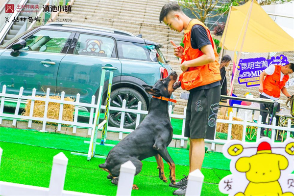 利来国国际(中国)最给力的老牌 - welcome