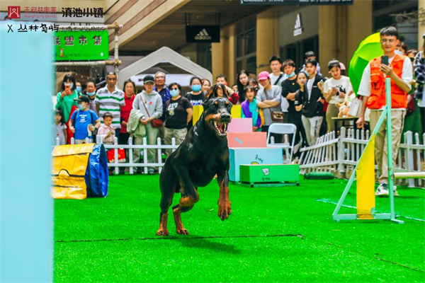 利来国国际(中国)最给力的老牌 - welcome