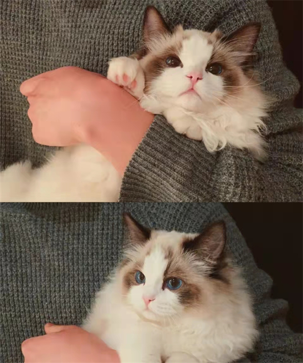 利来国国际(中国)最给力的老牌 - welcome